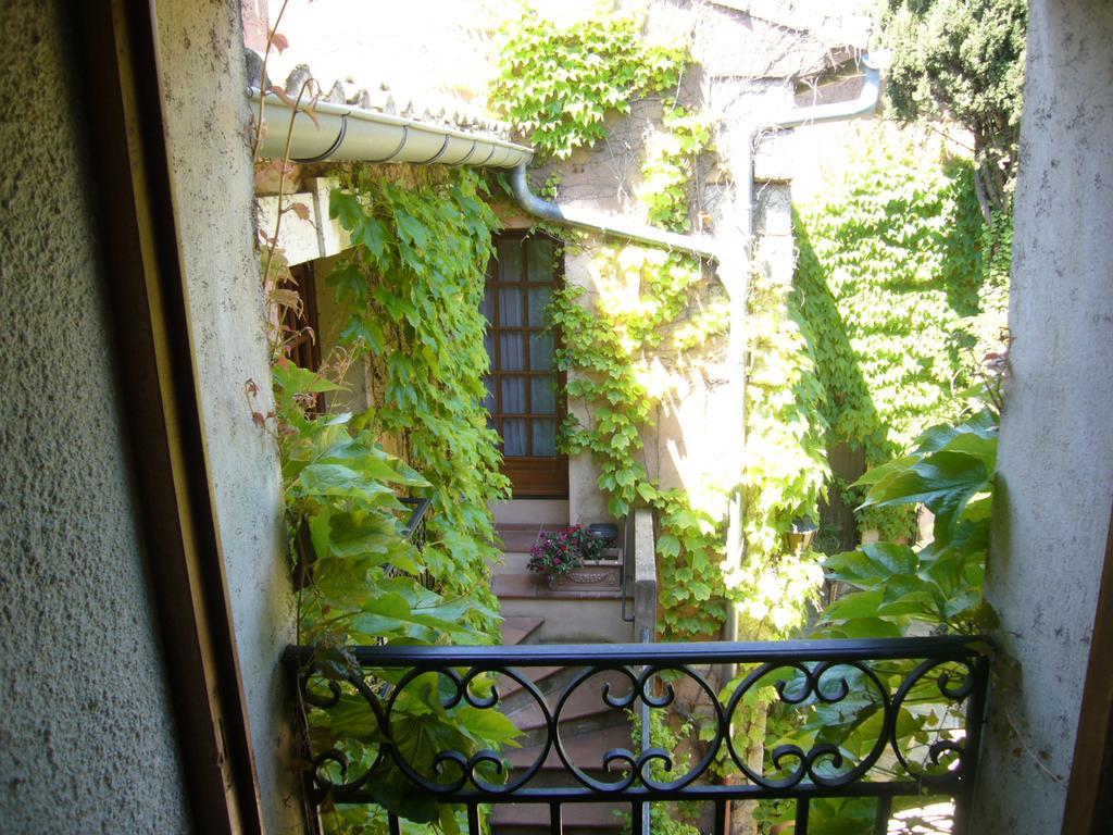 La Passiflore Vergèze Exterior foto